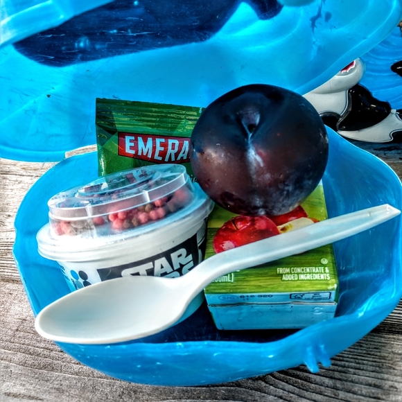 Set of 5 SeaWorld Shamu Lunchboxes - Picture 5 of 7